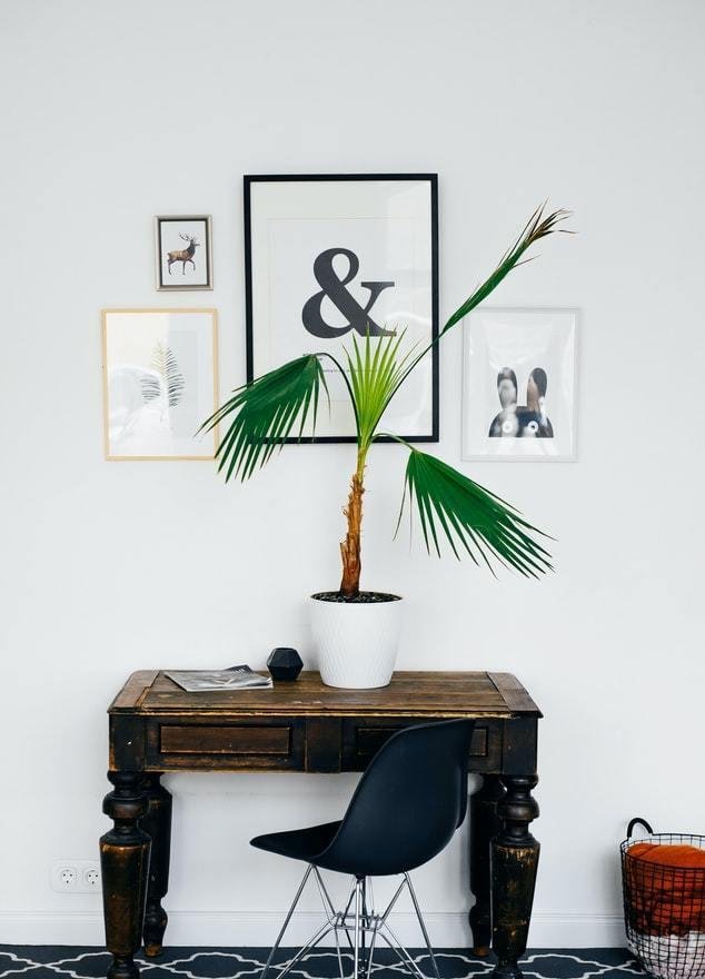 Travel & Duffle Bags